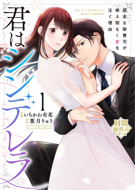 君はシンデレラ～孤高な御曹司が絶え間なく愛を注ぐ理由～