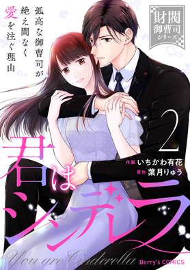 君はシンデレラ～孤高な御曹司が絶え間なく愛を注ぐ理由～