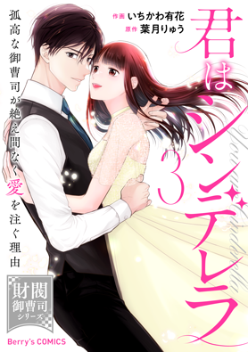 君はシンデレラ～孤高な御曹司が絶え間なく愛を注ぐ理由～3巻