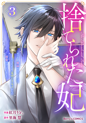 捨てられた妃　めでたく離縁が成立したので出ていったら、竜国の王太子からの溺愛が待っていました 3巻 