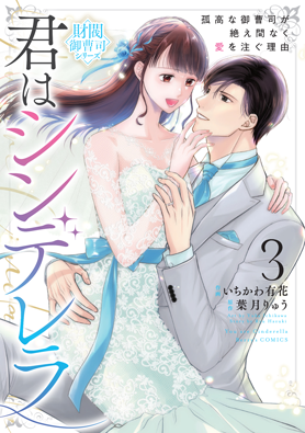 君はシンデレラ～孤高な御曹司が絶え間なく愛を注ぐ理由～