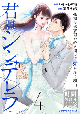 君はシンデレラ～孤高な御曹司が絶え間なく愛を注ぐ理由～