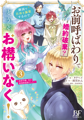 お前呼ばわりで婚約破棄？隣国で自由を謳歌するのでどうぞお構いなく！～追放令嬢、実は最強精霊師でした～