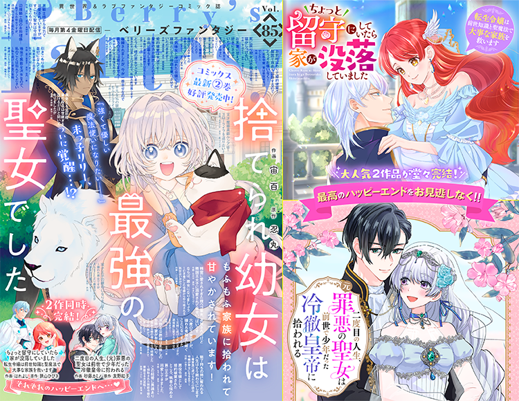 Berry's Fantasy Vol.85