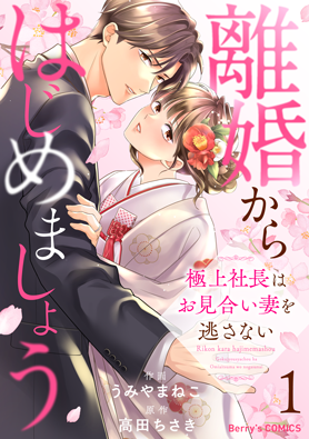 離婚からはじめましょう―極上社長はお見合い妻を逃さない―